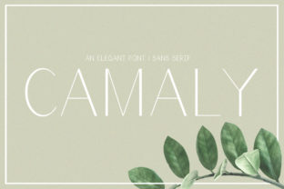 Camaly: The Modern Sans Serif Font That Elevates Your Brand