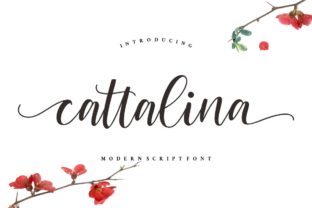 Cattalina: A Font That Elevates Editorial Design