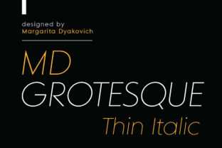 MD Grotesque Thin Italic for Clean, Modern Web Design