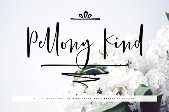 Pellony Kind: The Font That Makes Your Campaigns Stand Out